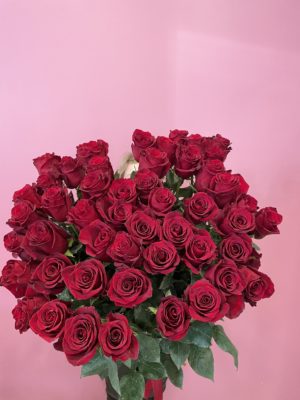 Роза Эквадор красная 1 метр 51 шт