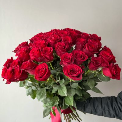 Роза Эквадор красная 60 см 51 шт