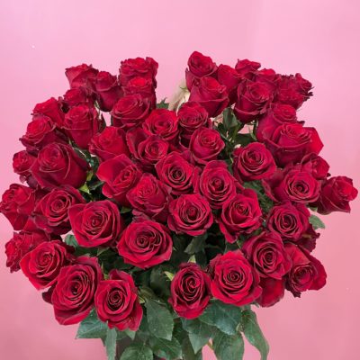 Роза Эквадор красная 70 см 51 шт
