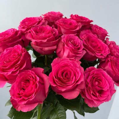 Роза Эквадор розовая FULL MONTY 60 см 15 шт