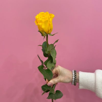 Роза Эквадор желтая Brighton 60 см