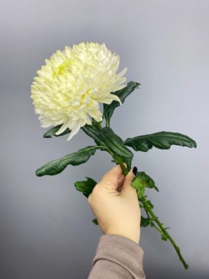 Хризантема белая одноголовая Магнум