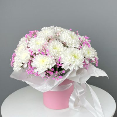 Белая кустовая хризантема с розовой гипсофилой в коробочке