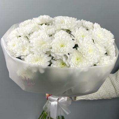 кустовые белые хризантемы в круглом букете 11 шт
