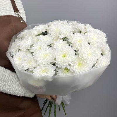 кустовые белые хризантемы в круглом букете 11 шт