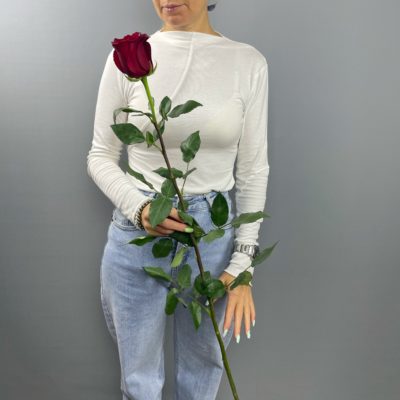 Роза 1 метр